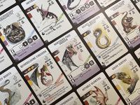 Wyrmspan: Dragon Academy – dragon cards